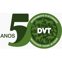 DVT